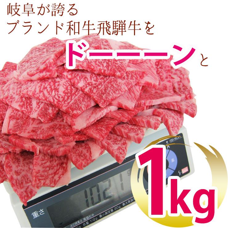 肉 焼肉 牛肉 飛騨牛 メガ盛 カルビ 1kg 約4人〜5人前  bbq BBQ バーベキューセット 焼肉セット ギフト 牛肉 和牛 お買い得 | 飛騨牛 | 01