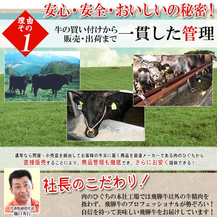 肉 焼肉 牛肉 飛騨牛 メガ盛 カルビ 1kg 約4人〜5人前  bbq BBQ バーベキューセット 焼肉セット ギフト 牛肉 和牛 お買い得 | 飛騨牛 | 06