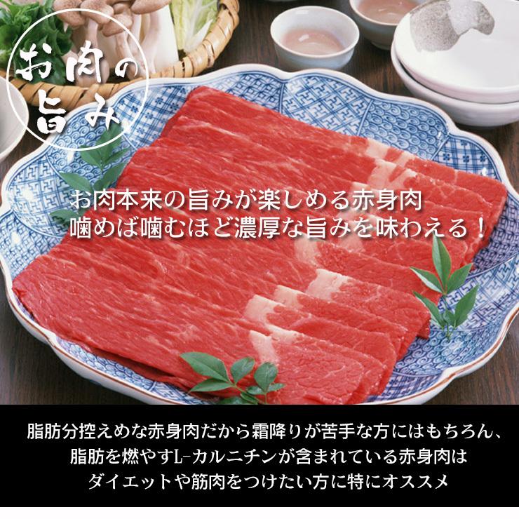 肉 牛肉 和牛 しゃぶしゃぶ 飛騨牛 もも・かた肉 400g×1p 赤身 鍋 黒毛和牛 お取り寄せ グルメ 冷凍 自家需要 自宅用 岐阜県 ブランド牛 爆買 | 飛騨牛 | 01