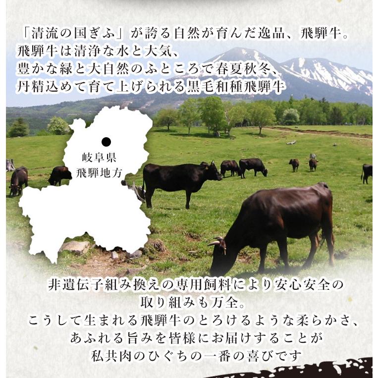 肉 牛肉 和牛 しゃぶしゃぶ 飛騨牛 もも・かた肉 400g×1p 赤身 鍋 黒毛和牛 お取り寄せ グルメ 冷凍 自家需要 自宅用 岐阜県 ブランド牛 爆買 | 飛騨牛 | 06