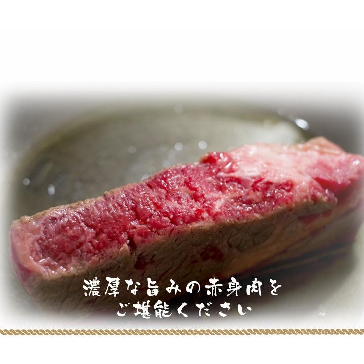 肉 牛肉 飛騨牛 もも ブロック 塊 500g ローストビーフやたたきに 黒毛和牛 かたまり お取り寄せグルメ｜nikunohiguchi-yafuu｜03