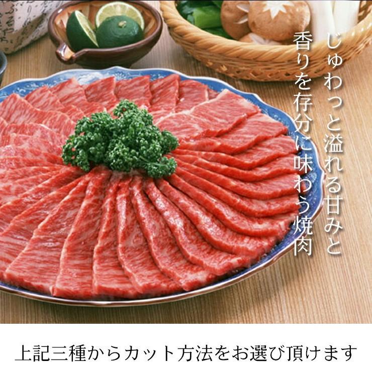ギフト A5等級 飛騨牛 プレミアム すき焼き肉 焼肉 しゃぶしゃぶ ロース 500g 化粧箱入 送料無料 黒毛和牛 御祝 内祝 御礼 爆買 | 飛騨牛 | 06