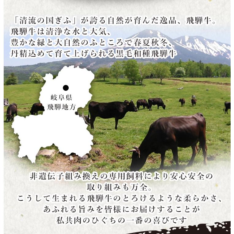 肉 ギフト 送料無料  牛肉 和牛 A5等級 飛騨牛 サーロイン ステーキ 150g位×4枚 化粧箱入 黒毛和牛 内祝 お取り寄せグルメ プレミアム　記念日 プレゼント｜nikunohiguchi-yafuu｜11