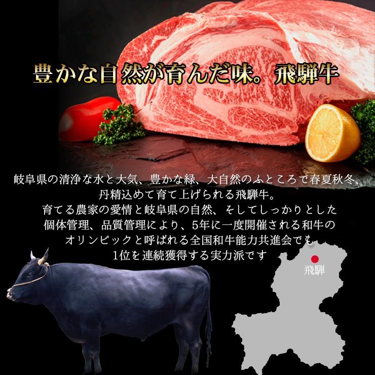 ステーキ  肉 ギフト 飛騨牛 サーロインステーキ 200ｇ×2枚 牛肉 和牛 プレゼント 黒毛和牛 お祝 内祝 ディナー 赤身 内祝 御祝 御礼 爆買 | 飛騨牛 | 07