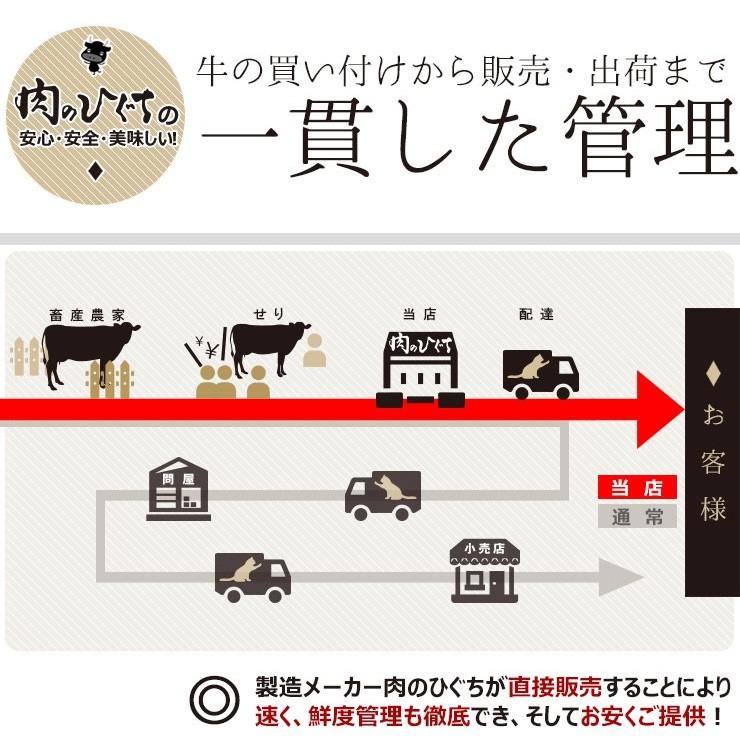 ステーキ  肉 ギフト 飛騨牛 サーロインステーキ 200ｇ×2枚 牛肉 和牛 プレゼント 黒毛和牛 お祝 内祝 ディナー 赤身 内祝 御祝 御礼 爆買 | 飛騨牛 | 09