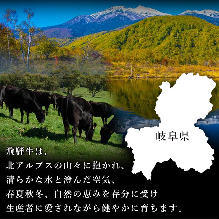 母の日 肉 ギフト 和牛 すき焼き肉 飛騨牛 すき焼き鍋セット 2人前 野菜 割下付 牛肉 黒毛和牛 鍋 内祝  お祝 お手軽 煮るだけ 肩ロース mother's day｜nikunohiguchi-yafuu｜16