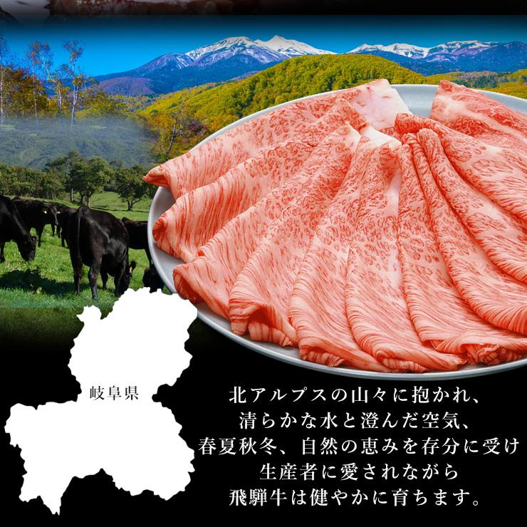 ＼5/12までクーポン利用で290円OFF／母の日 肉 ギフト 牛肉 和牛 焼肉 飛騨牛 サーロイン ステーキ 150g位×2枚 A4〜A5等級 化粧箱入 牛肉 黒毛和牛 お祝 御祝｜nikunohiguchi-yafuu｜06