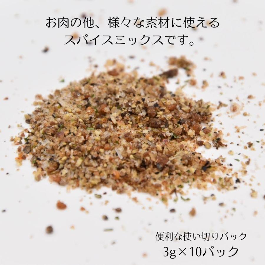 お肉に合う！オリジナルスパイス 10パックセット いろいろなお料理に