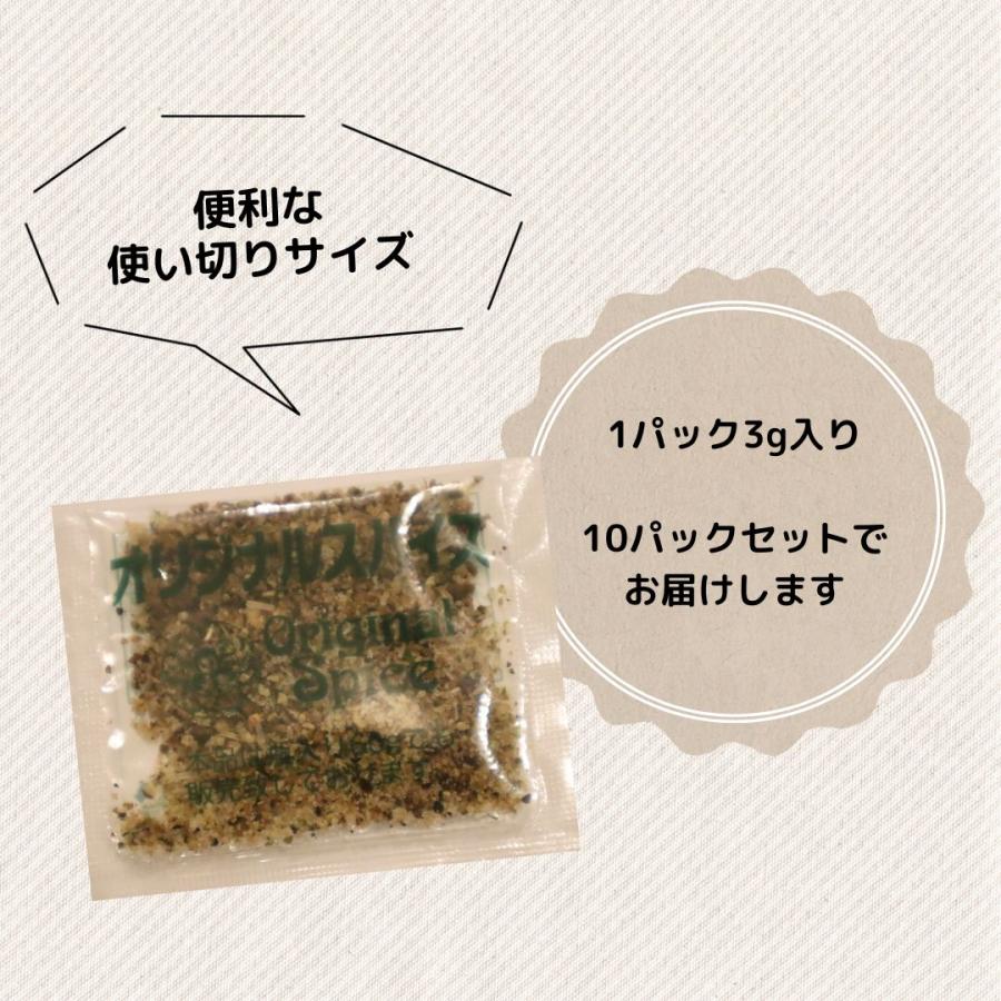 お肉に合う！オリジナルスパイス 10パックセット いろいろなお料理に