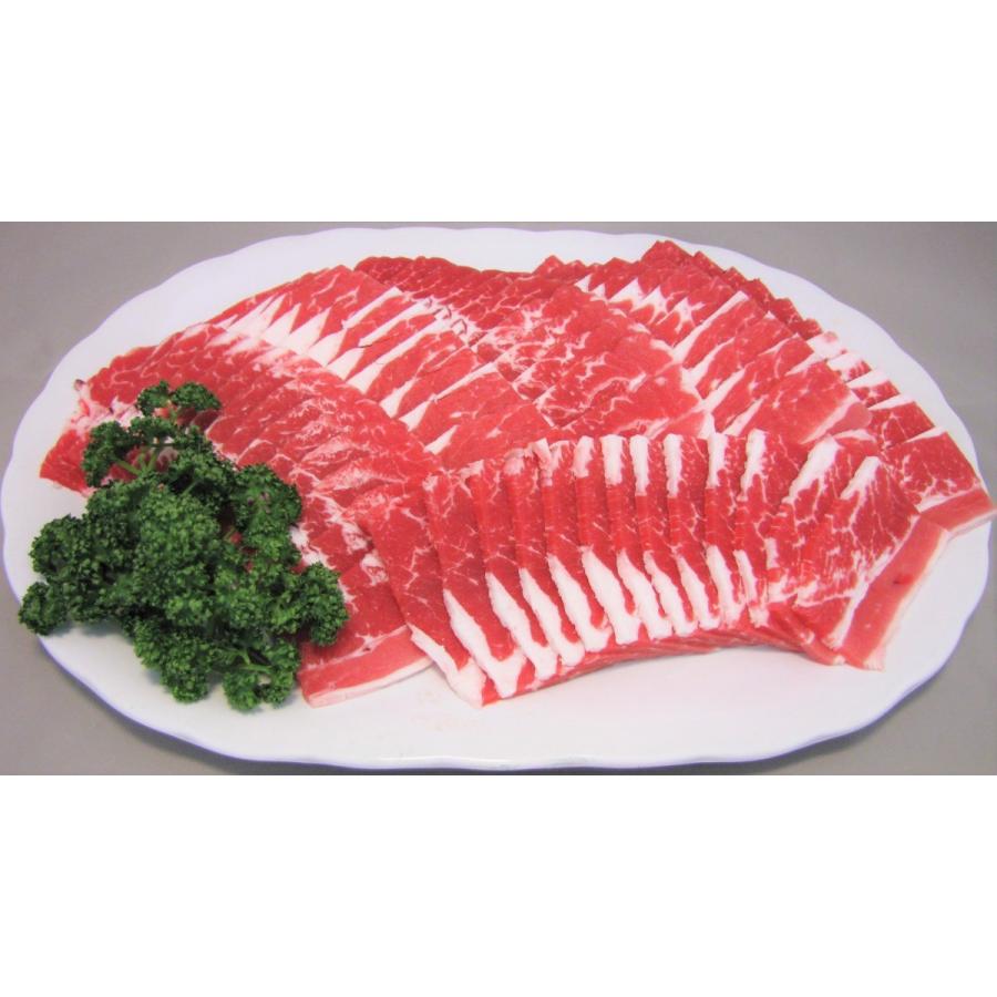 牛肉　メガ盛り　焼き肉  焼肉セット （BBQ バーべキュー）牛肉　焼肉　｜nikunokinoshita｜02