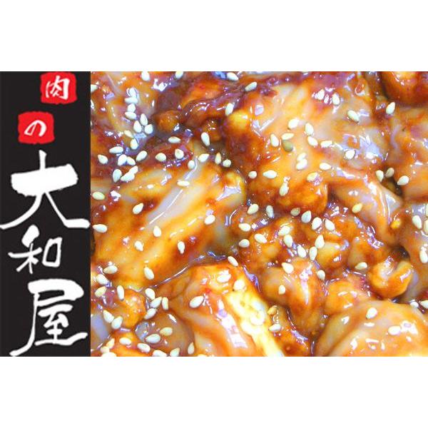 国産牛　特上　ホルモン　（味噌だれ）　500g　（小腸）（もつ鍋より焼肉・焼き肉） 当日加工 人気商品 送料込み｜nikunoyamatoya