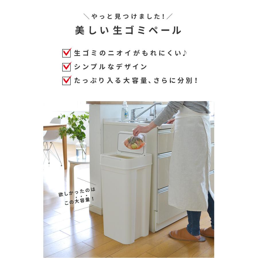 新入荷 流行 ゴミ箱 密閉ダストボックス パッキン付き 45l 生ゴミ おむつペール おしゃれ 分別 Seals シールズ 白 グレー キッチンペール ペット シンプル 日本製 Aynaelda Com