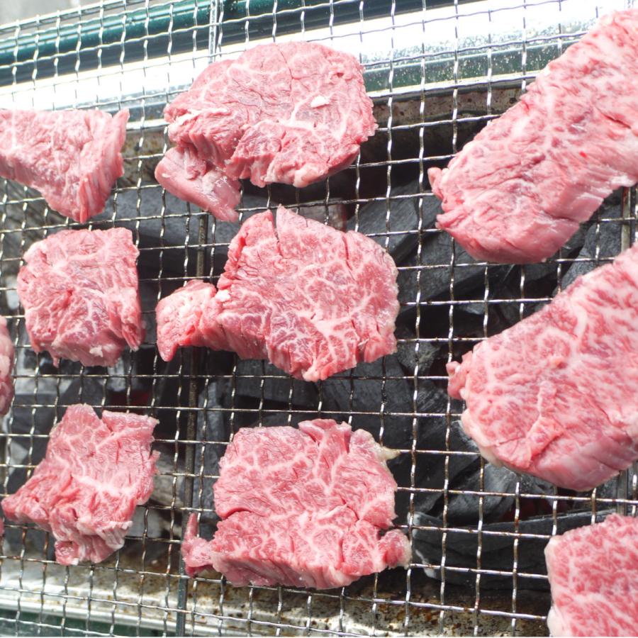 58 Off 国産牛ハラミ 市場直送 ハマモツ 塊肉 焼肉 q バーベキュー まるごと 希少部位 ステーキ Materialworldblog Com