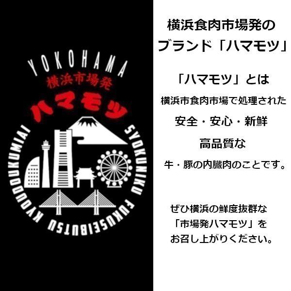 国産豚もつ焼き　プルコギ味　300g 味付 市場直送 ハマモツ 豚ホルモン お土産　韓国風｜nikutomotsukinoshita｜05