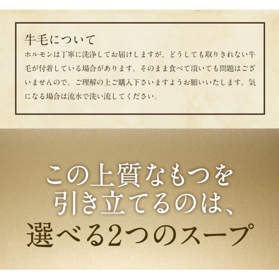 もつ鍋 黒毛和牛 小腸 取り寄せ 国産 もつ鍋 2-3人前 250g ちゃんぽん麺 お取り寄せ グルメ｜nikuya-mond｜09