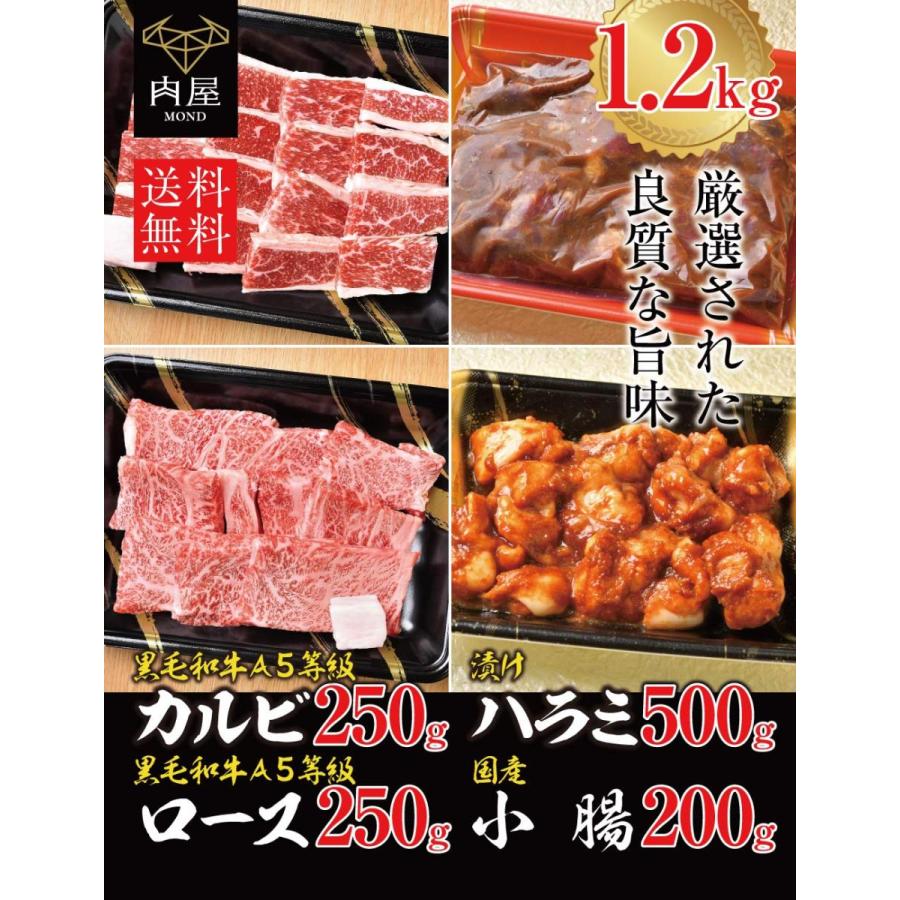 肉 牛肉 肉屋mond 焼肉セット 10g 黒毛和牛 A5等級 ロース カルビ タレ漬けハラミ 小腸 ギフト 送料無料 内祝い ギフト プレゼント 肉屋mond 通販 Paypayモール