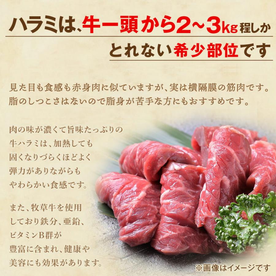 オーストラリア産 牛ハラミの商品一覧 通販 - Yahoo!ショッピング オーストラリア産 牛ハラミの商品一覧 通販 - Yahoo!ショッピング
