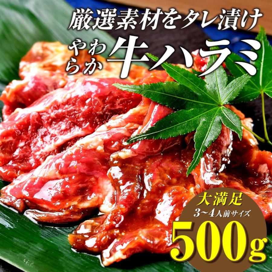 焼肉 牛肉 父の日 ハラミ やわらか メガ盛り 500g 肉 大容量 焼肉セット バーベキュー｜nikuya-mond｜02