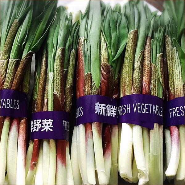 2022年 予約 北海道産 行者にんにく 生 500g 天然物 行者ニンニク キトビロ アイヌネギ 山菜 ギフト 北海道 送料無料 お取り寄せ 2jo Gyouja 500g 雪国プラザ Yahoo ショッピング店 通販 Yahoo ショッピング