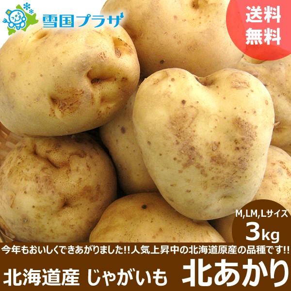 ハイクオリティ 予約 新じゃが じゃがいも 北海道産 きたあかり 3kg 共撰 M Lm 北あかり キタアカリ ジャガイモ 馬鈴薯 越冬 北海道 グルメ 野菜 送料無料 お取り寄せ Columbiatools Com
