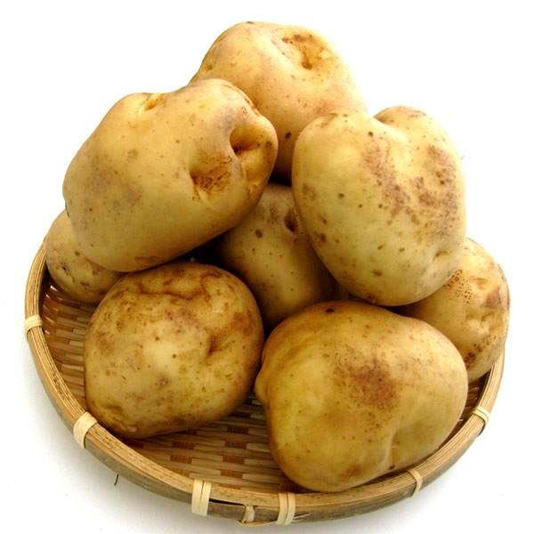 ハイクオリティ 予約 新じゃが じゃがいも 北海道産 きたあかり 3kg 共撰 M Lm 北あかり キタアカリ ジャガイモ 馬鈴薯 越冬 北海道 グルメ 野菜 送料無料 お取り寄せ Columbiatools Com