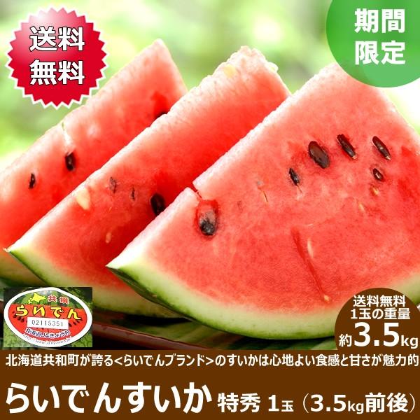 22年 予約 お中元 ギフト スイカ らいでんすいか 定番キャンバス 1玉 残暑お見舞い 北海道スイカ 暑中お見舞い 3 5kg お取り寄せ 特秀品 Jaきょうわ共撰