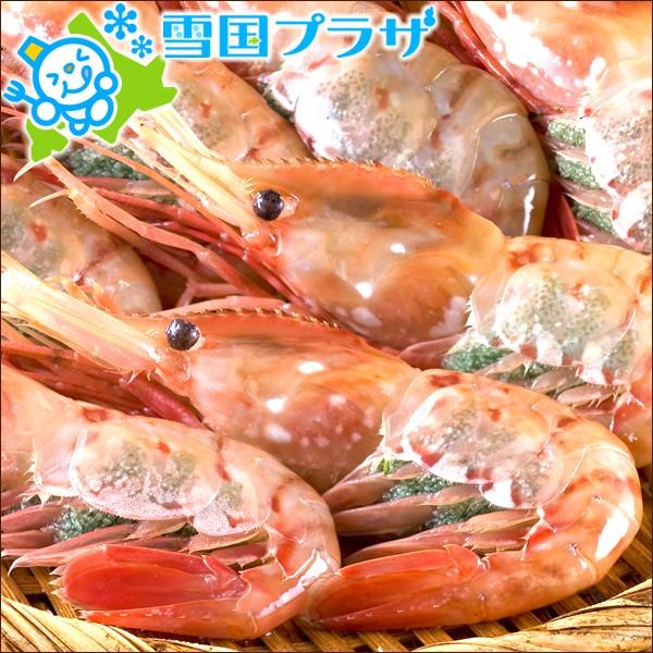 在庫有】 特大 ボタンエビ 500g メス子持ち 8〜10尾入り 生冷凍 ギフト 贈り物 贈答 お礼 お祝い お返し 内祝い ご馳走 グルメ 北海道 お取り寄せ wantannas.go.id 在庫有】 特大 ボタンエビ 500g メス子持ち 8〜10尾入り 生冷凍 ギフト 贈り物 贈答 お礼 お祝い お返し 内祝い ご馳走 グルメ 北海道 お取り寄せ wantannas.go.id