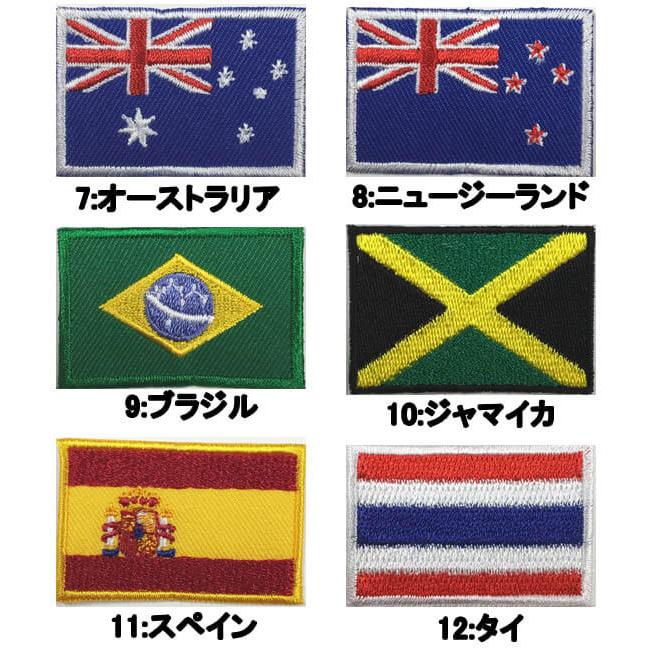 ワッペン アイロン 刺繍 国旗 世界の国旗 全18種 選べる3枚セット 