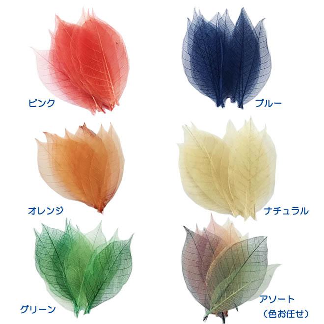 ミニ スケルトンリーフ（30枚セット） ドライフラワー 葉 花材 素材