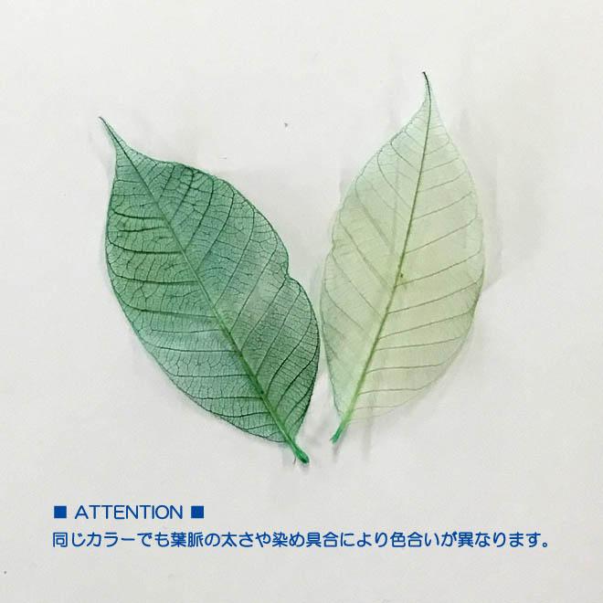 ミニ スケルトンリーフ（30枚セット） ドライフラワー 葉 花材 素材