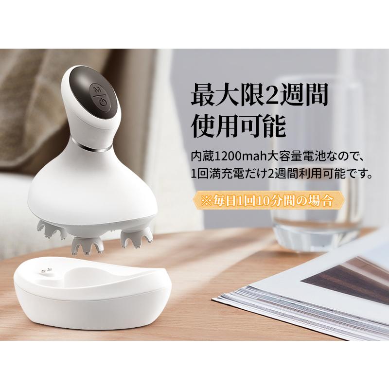 Panasonic ヘアマッサージャー(ヘアマッサージ) 【品番-018】 hd01_250418.jpg