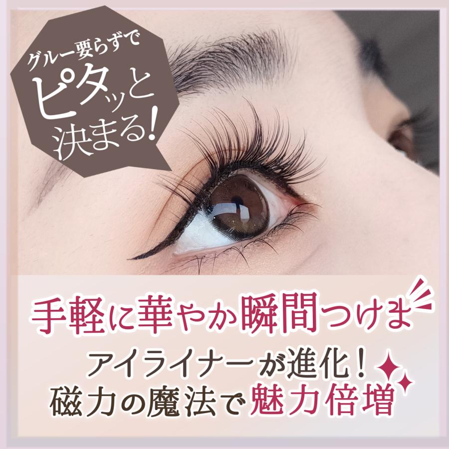 IAURA アイマグネットラッシュ ナチュラルタイプ 3way アイライナー