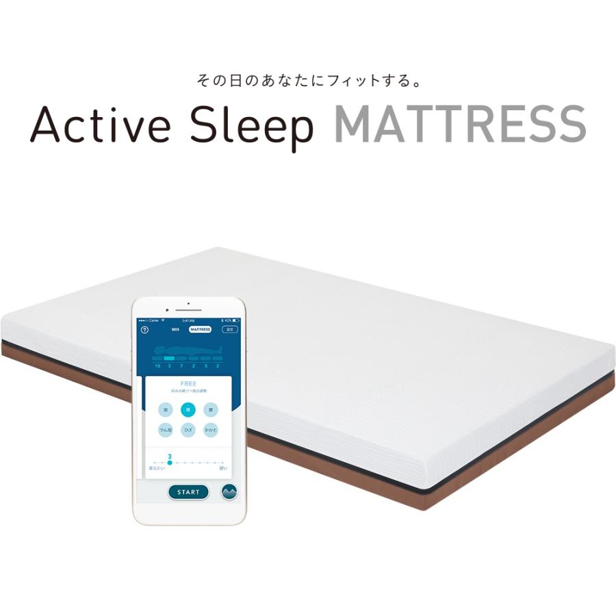 アクティブスリープ シングル パラマウントベッド RA-2650 電動リクライニングベッド 介護ベッド Active Sleep BED PARAMOUNT BED｜nimus｜18