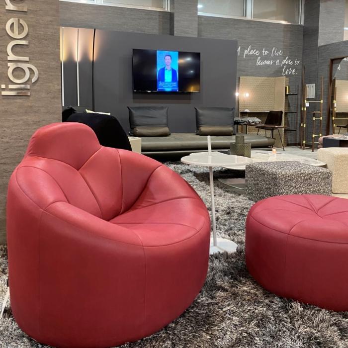 ligne roset ロゼパンプキン 1Pソファ レザー 皮革C・E・Gランク ligne roset ロゼパンプキン 1Pソファ レザー 皮革C・E・Gランク