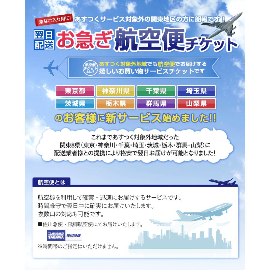 関東でお急ぎの方に！ お急ぎ航空便チケット 東京・神奈川・千葉・埼玉・茨城・栃木・群馬・山梨に翌日お届け｜ninas｜02