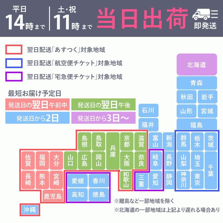 喪服 レディース ブラックフォーマル スーツ 礼服 ワンピース ロング丈 前開き 日本製 フォーマル 卒業式 入学式 大きいサイズ 30代 40代 50代 送料無料 Bs 1606 Bs 1606 Nina S ニナーズ 通販 Yahoo ショッピング