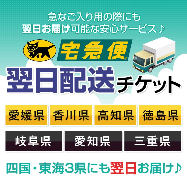 四国・東海3県でお急ぎの方に！ 宅急便翌日配送チケット 愛媛・香川・高知・徳島・岐阜・愛知・三重に翌日お届け | nina's（ファッション）