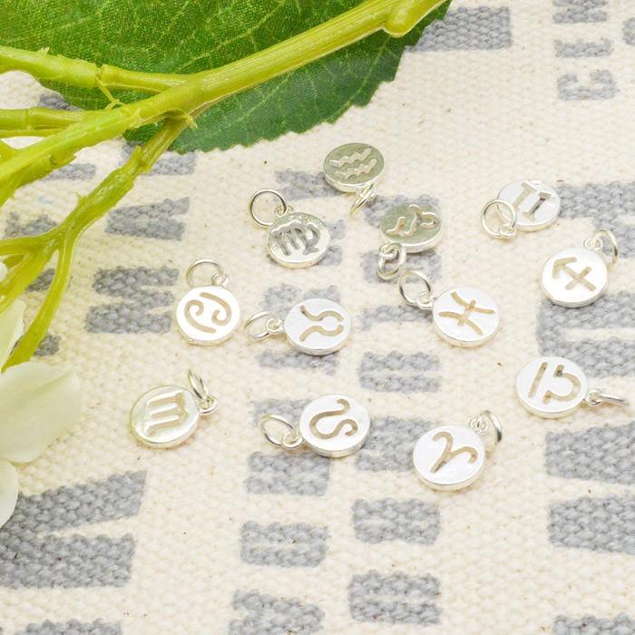 星座 チャーム シルバー 銀 うお座 星座チャーム レシピ レジン