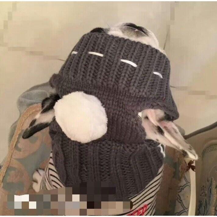 帽子 ペット ファッション 小物 ニット ボンボン フレンチブルドッグ 中型犬 耳出し 冬 防寒 あったか おしゃれ かわいい おでかけ ギフト プレ Pet Zozomi 通販 Yahoo ショッピング