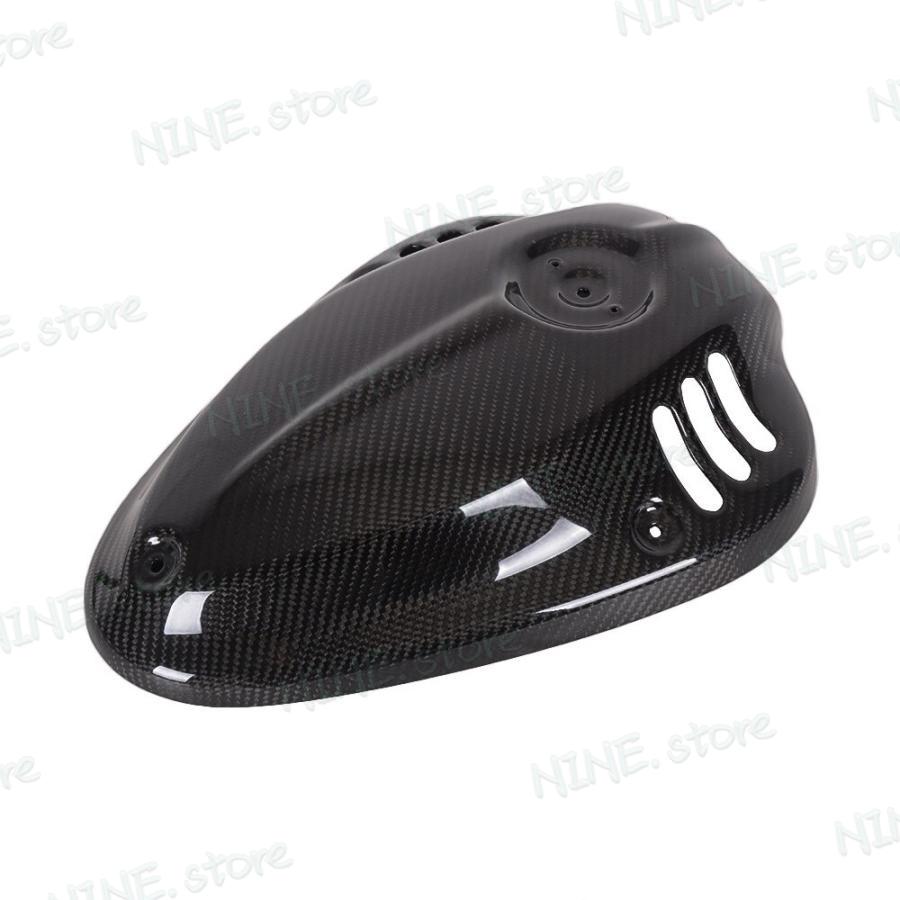 Bmw R18 2020-2021 カーボンファイバー フロント バルブプロテクター オートバイ アクセサリー_1