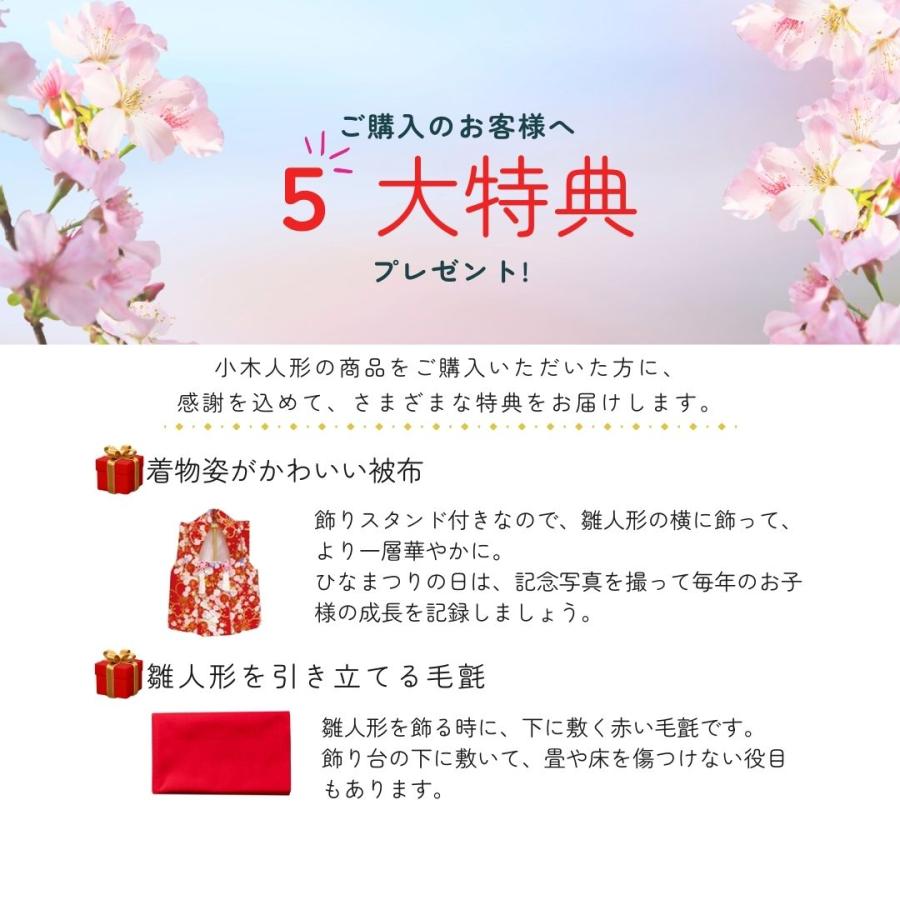 雛人形 ひな人形 名前木札  収納飾り コンパクト 飾り方 焼桐 木製 京十一番親王 三人官女 初節句 おしゃれ お祝い ひなまつり 女の子 間口62cm 1019Aの画像