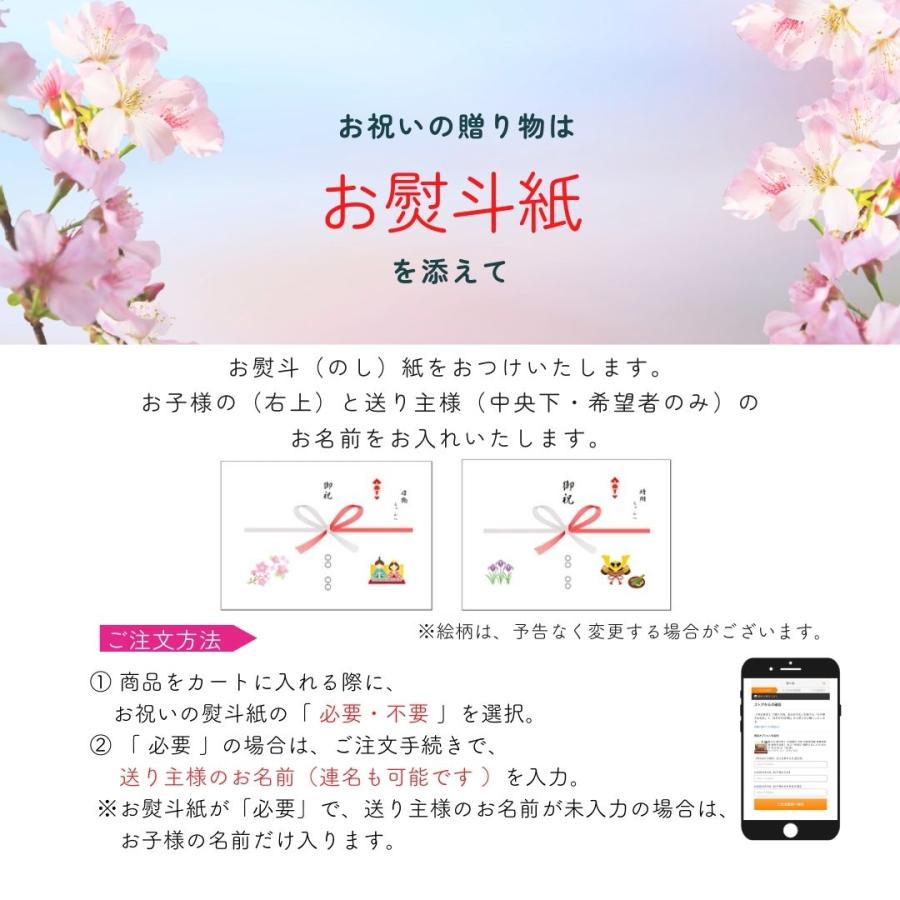 雛人形 ひな人形 名前木札  収納飾り コンパクト 飾り方 焼桐 木製 京十一番親王 三人官女 初節句 おしゃれ お祝い ひなまつり 女の子 間口62cm 1019Aの画像