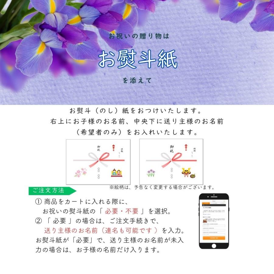五月人形 兜 名前札 コンパクト 飾り方 平台飾り金小札赤糸威兜 9号 初節句 お祝い 端午の節句 男の子 間口60cm 3812_14