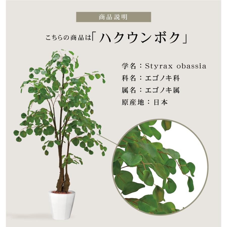 P10倍 観葉植物 フェイクグリーン 人工観葉植物 ハクウンボク 造花 おしゃれ ツリー 店舗装飾 黒鉢付 大型 フェイク グリーン インテリア 150cm 屋外 1004 恵月人形本舗 通販 Yahoo ショッピング