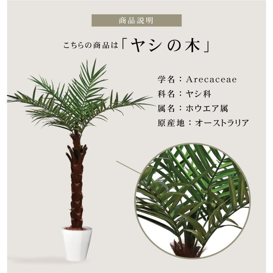 観葉植物 フェイクグリーン 人工観葉植物 ヤシの木 ケンチャヤシ 観葉植物 フェイクグリーン 人工観葉植物 ヤシの木 ケンチャヤシ