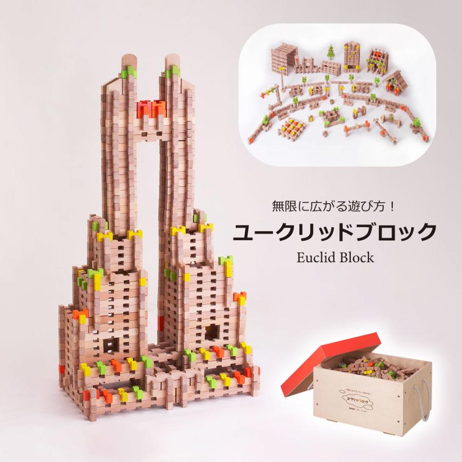 知育玩具 エドインター 木製 おもちゃ ユークリッドブロック 大容量 