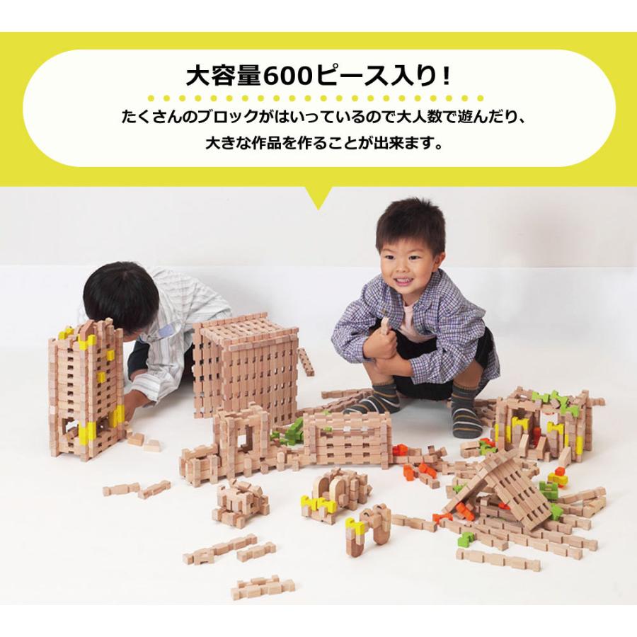 知育玩具 エドインター 木製 おもちゃ ユークリッドブロック 大容量
