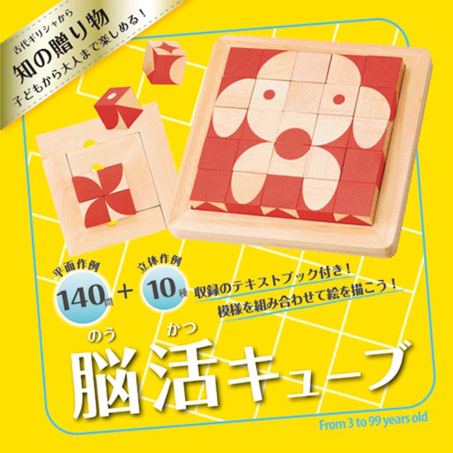 脳活キューブ 知の贈り物 ブロック 知育玩具 エドインター パズル