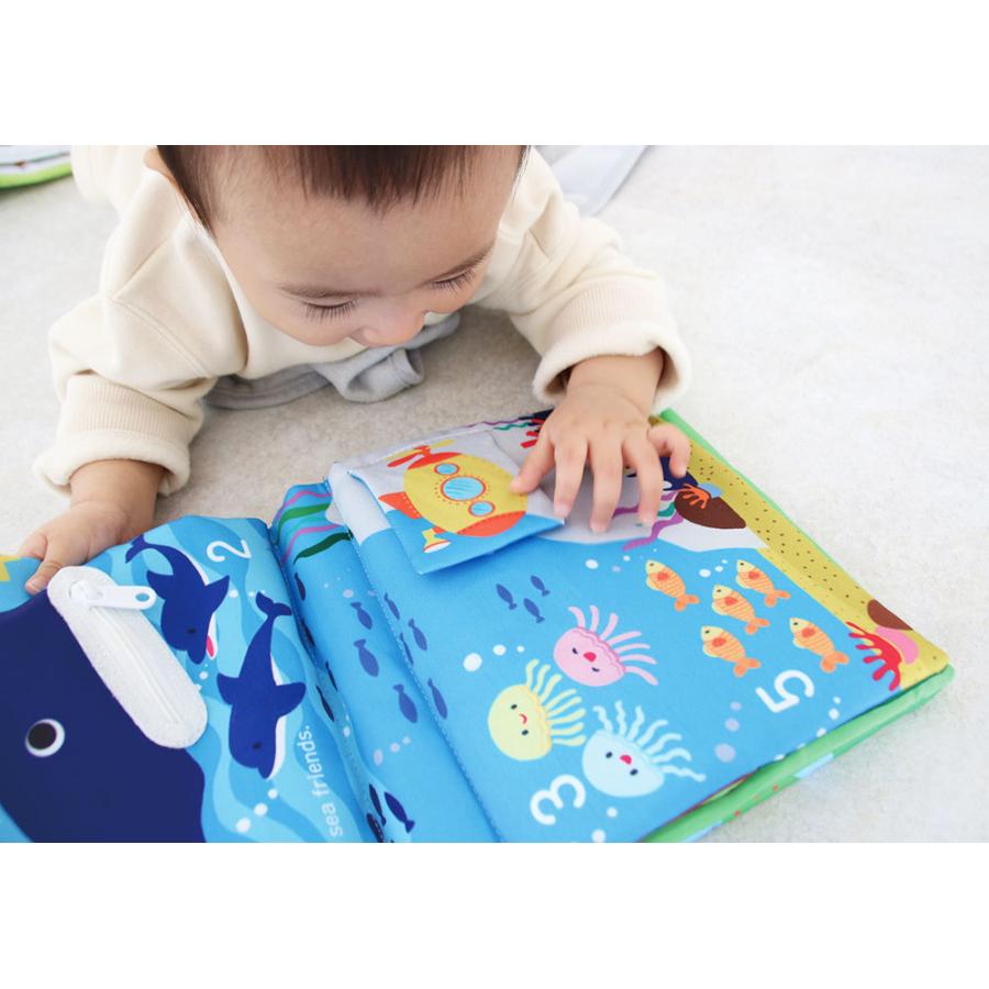 知育玩具 エドインター 布製 洗濯可 絵本 おもちゃ 赤ちゃん 知育 教育
