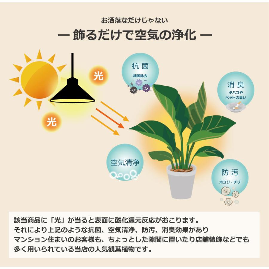 光触媒 アートフラワー イミテーショングリーン 抗菌 消臭 ミニ 人工